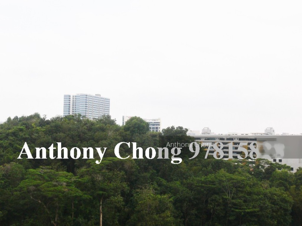 Blk 290G Bukit Batok Street 24 (Bukit Batok), HDB 5 Rooms #140471162